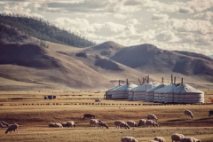 Immersion-vie-nomade